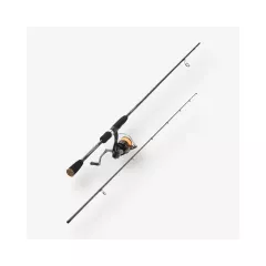 Canne + moulinet SAKURA